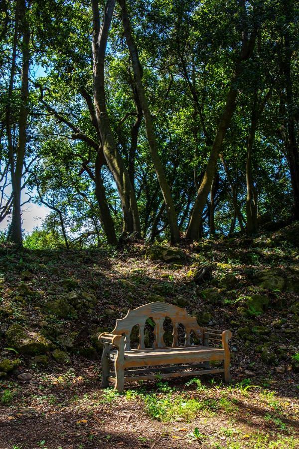 Vibe Luxury Cabins Arnuero Dış mekan fotoğraf