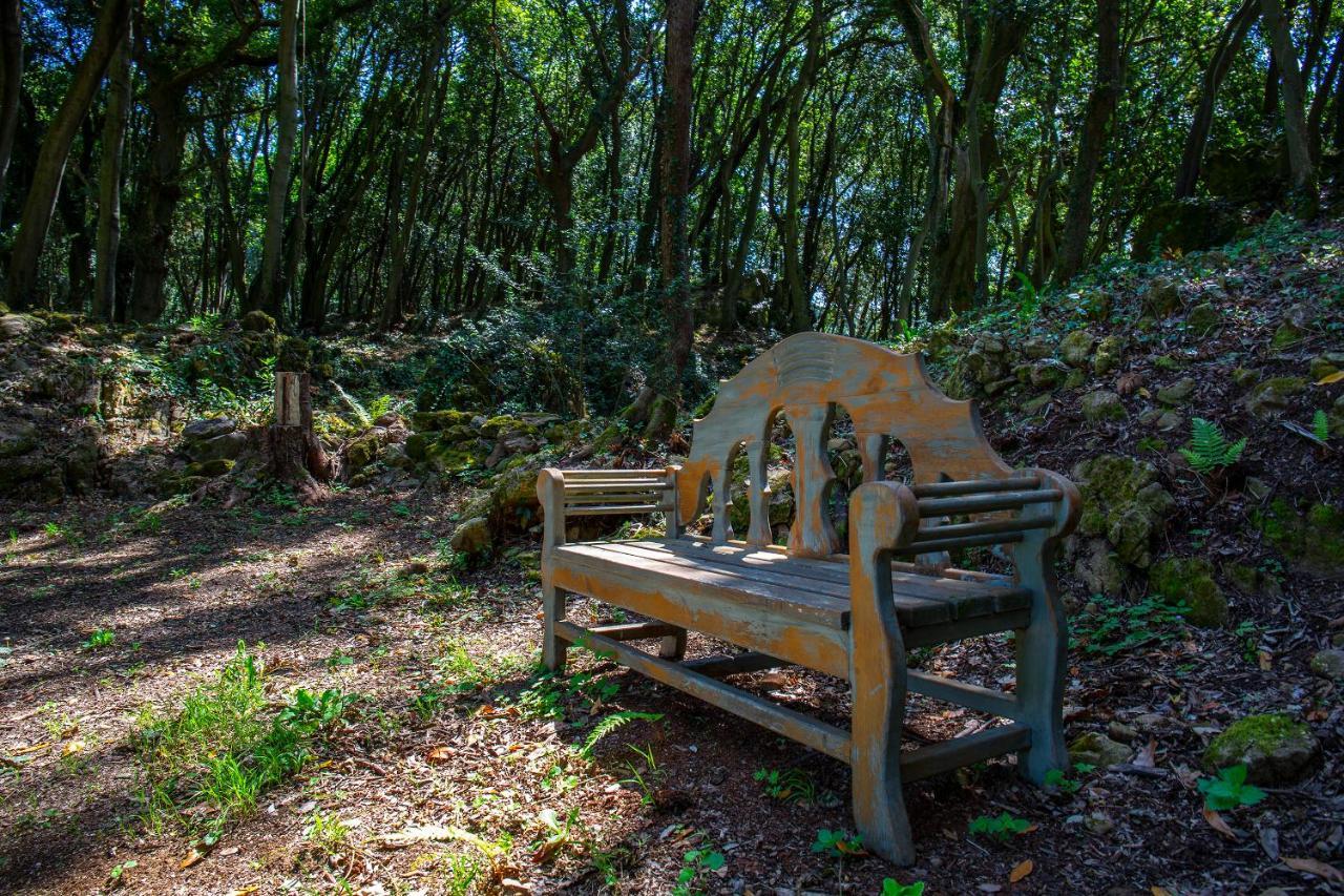 Vibe Luxury Cabins Arnuero Dış mekan fotoğraf