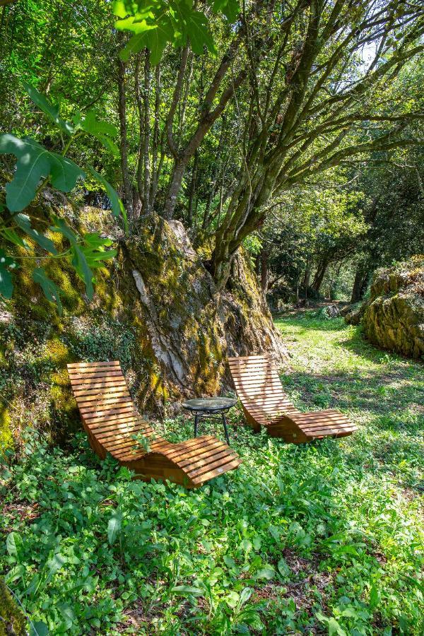 Vibe Luxury Cabins Arnuero Dış mekan fotoğraf
