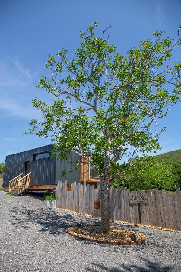 Vibe Luxury Cabins Arnuero Dış mekan fotoğraf