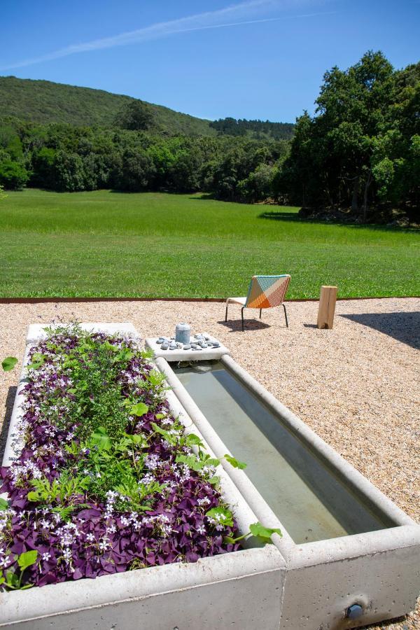 Vibe Luxury Cabins Arnuero Dış mekan fotoğraf
